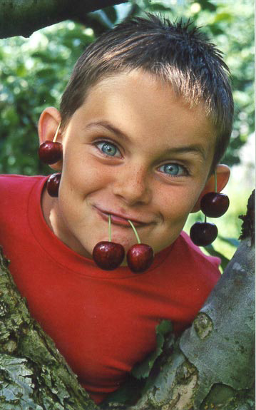 Steinstø fruktgard - gut med moreller