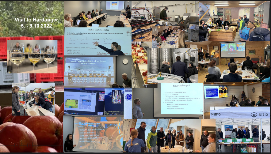 Coullage%20Visit%20Hardanger%205_-9_10_22