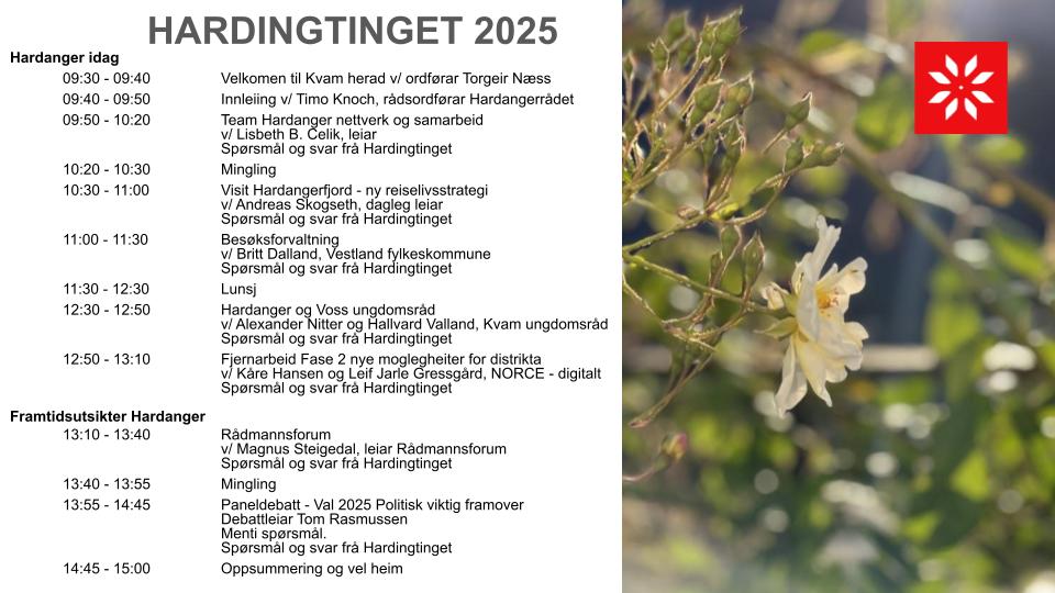 Program%20Hardingtinget%202025