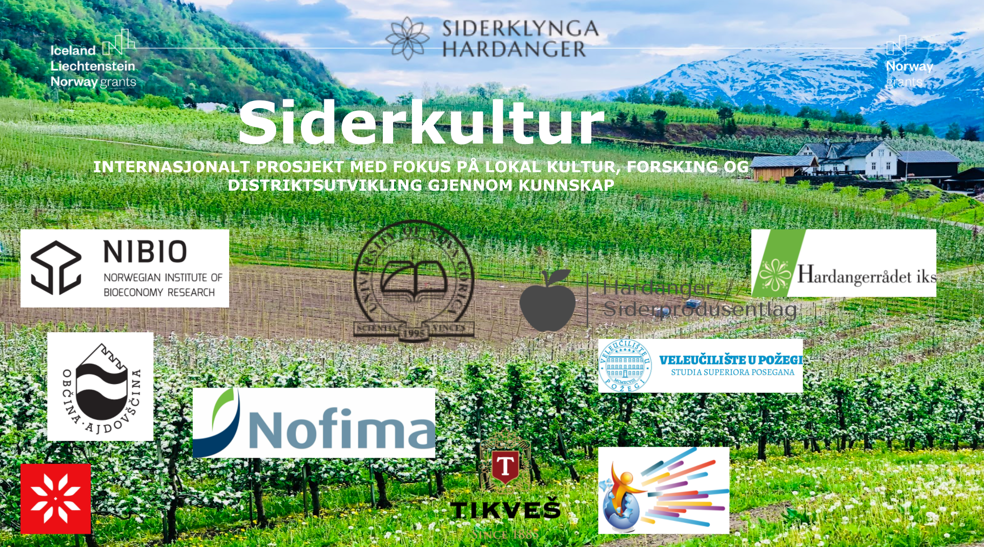 siderkultur presentasjon